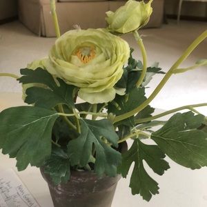 Meet your Posher, Deb